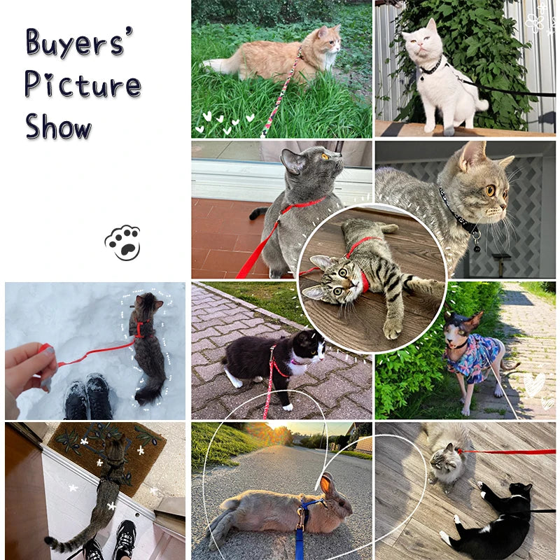 Cat Collar Harness Leash Adjustable Nylon Pet Traction Cat Kitten Dog Halter Collar gato Cats Products Pet Harness Belt CB DROPSHIPPING