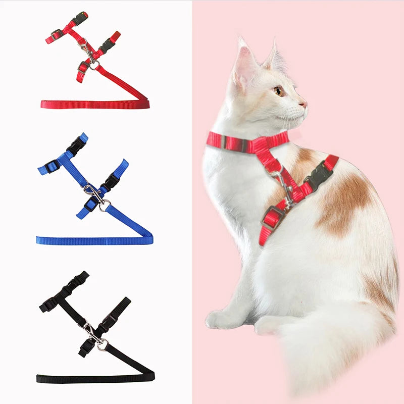 Cat Collar Harness Leash Adjustable Nylon Pet Traction Cat Kitten Dog Halter Collar gato Cats Products Pet Harness Belt CB DROPSHIPPING