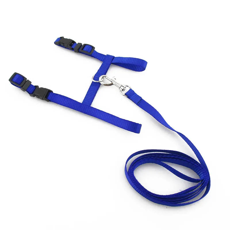 Cat Collar Harness Leash Adjustable Nylon Pet Traction Cat Kitten Dog Halter Collar gato Cats Products Pet Harness Belt CB DROPSHIPPING
