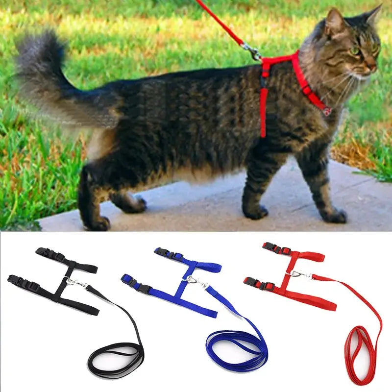 Cat Collar Harness Leash Adjustable Nylon Pet Traction Cat Kitten Dog Halter Collar gato Cats Products Pet Harness Belt CB DROPSHIPPING