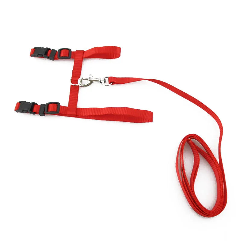 Cat Collar Harness Leash Adjustable Nylon Pet Traction Cat Kitten Dog Halter Collar gato Cats Products Pet Harness Belt CB DROPSHIPPING
