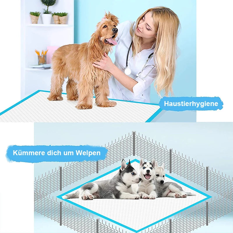 100pc Pet diapers 45*60cm/60*90cm Cats Dog Diapers Super Absorbent Pet Diaper Dog Pee Pad Quick dry Disposable Urine Nappy Mat CB DROPSHIPPING