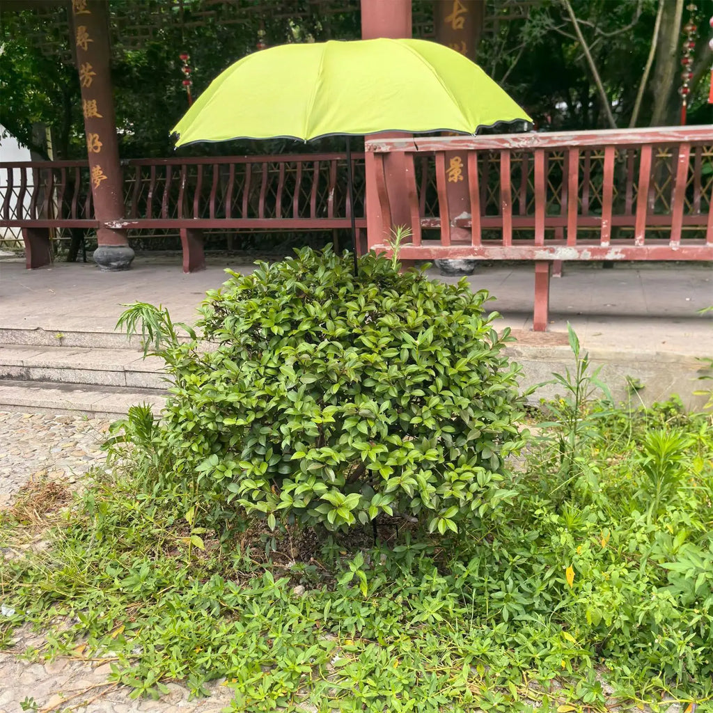 Garden Umbrella for Plants Outdoor Flower Sun Shade Parasol Patio Plants Umbrella for Gardeners Outside Yard Patio Porch