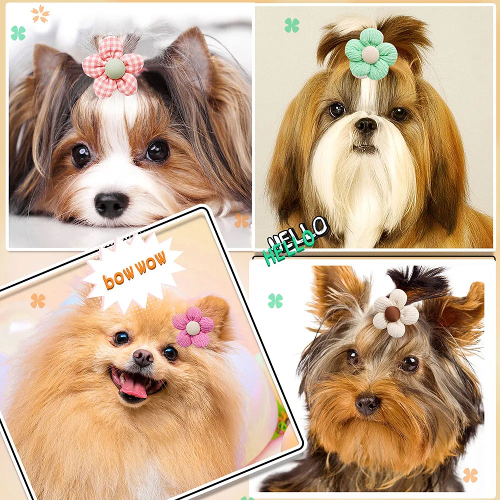 10PCS Flower Shape Pet Hair Accessories For Dogs Cats Hair Decoration Flowers Rubber Bands Bulk Puppy Grooming Accessories CB DROPSHIPPING