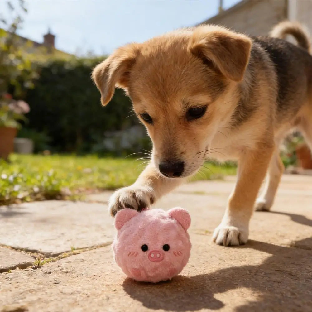 Dog Chew Toy Funny Interactive Bouncy Ball Cute Cartoon Pet Teeth Grinding Ball For Small Medium Dogs Voice Toys Washable