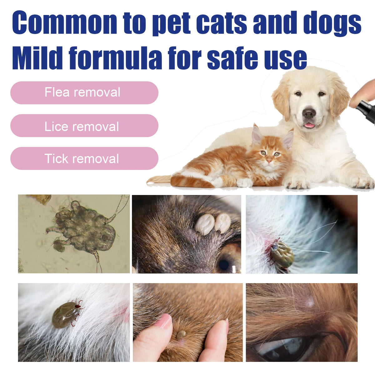 Natural Flea Spray for Dogs and Cats Plant-Based Flea and Tick Repellent Essential Oils Flea Treatment Itch Relief Spray for Pet