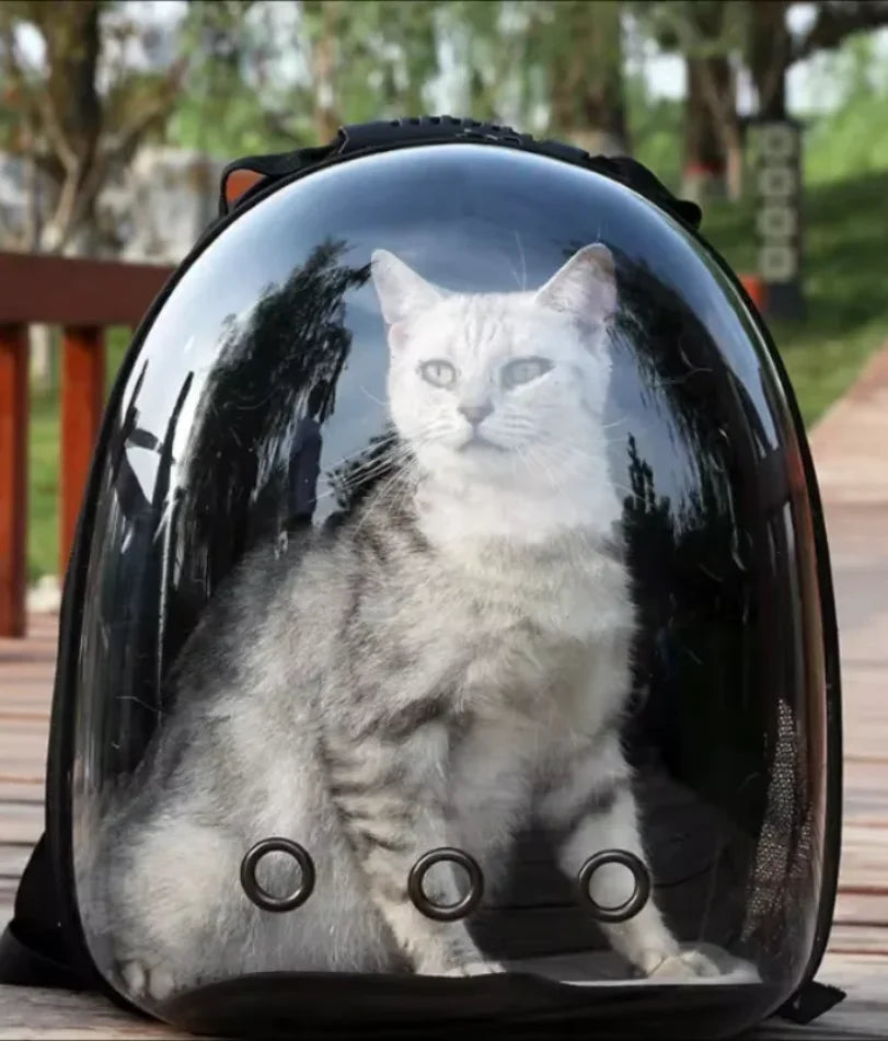 Portable Space Capsule Breathable Cat Bag, Pet Travel Supplies, carrying Pets Travel Essential CB DROPSHIPPING