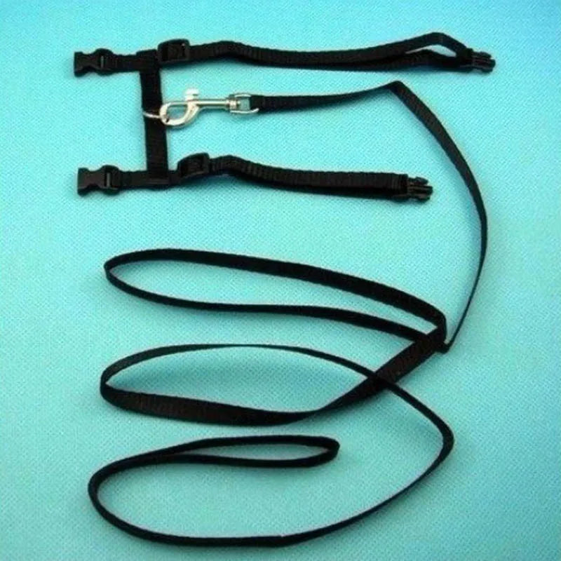 Cat Collar Harness Leash Adjustable Nylon Pet Traction Cat Kitten Dog Halter Collar gato Cats Products Pet Harness Belt CB DROPSHIPPING