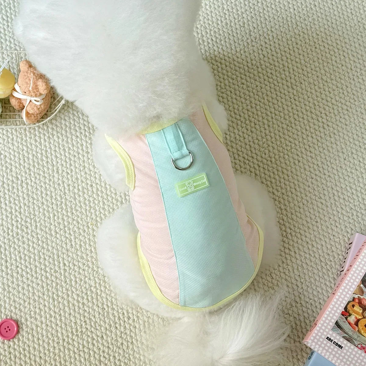Pet Dog Summer Cooling Vest Reflective Dog Clothes Summer Cat Casual Shirts Small Medium Large Dog Puppy Chihuahua Pet Clothes