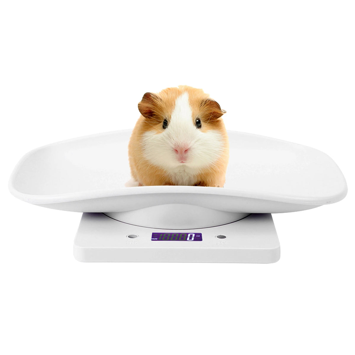 10kg/1g Digital Small Pet Weight Scale for Cats Dogs Measure Tool Electronic Kitchen Scale Pet Scale Kitchen Scale Digital Scale CB DROPSHIPPING