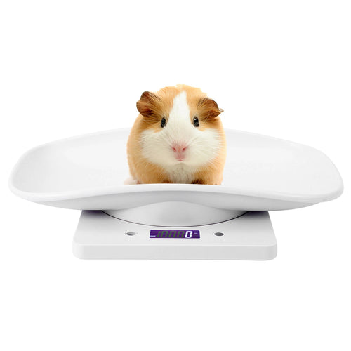 10kg/1g Digital Small Pet Weight Scale for Cats Dogs Measure Tool Electronic Kitchen Scale Pet Scale Kitchen Scale Digital Scale