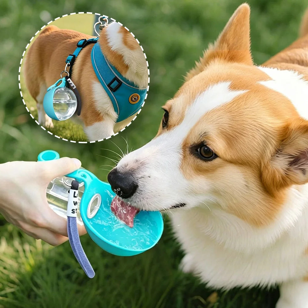 Portable Dog Water Bottle 285ml Pet Drinking Silicone Bowl with Lanyard Leak-Proof 2-in-1 Water Dispenser Walking Travel Feeders