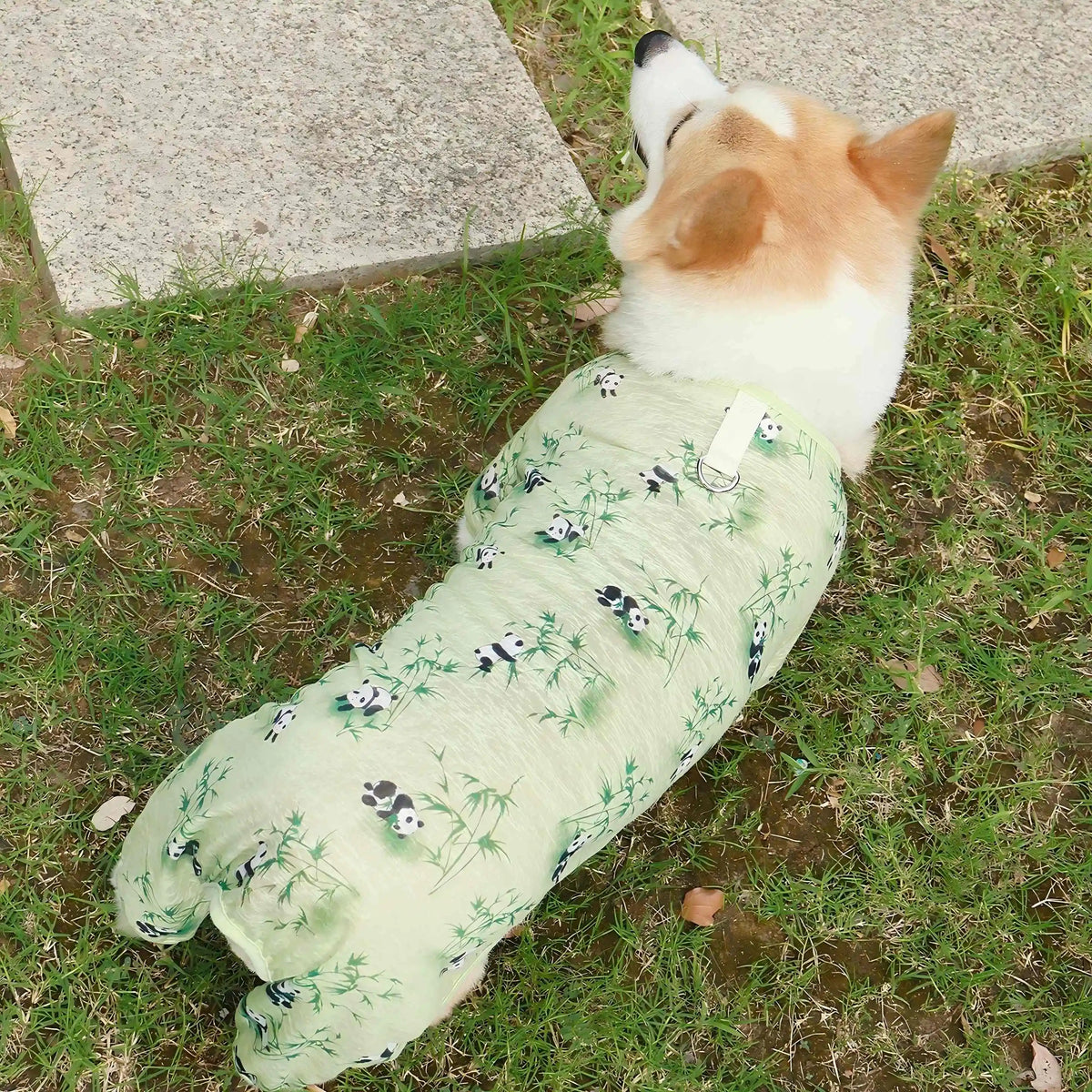 Summer Pet Dog Cat Cooling Jumpsuit Breathable Mesh Pet Clothes for Small Medium Dog Puppy Clothes Kitten Chihuahua Pet Clothing