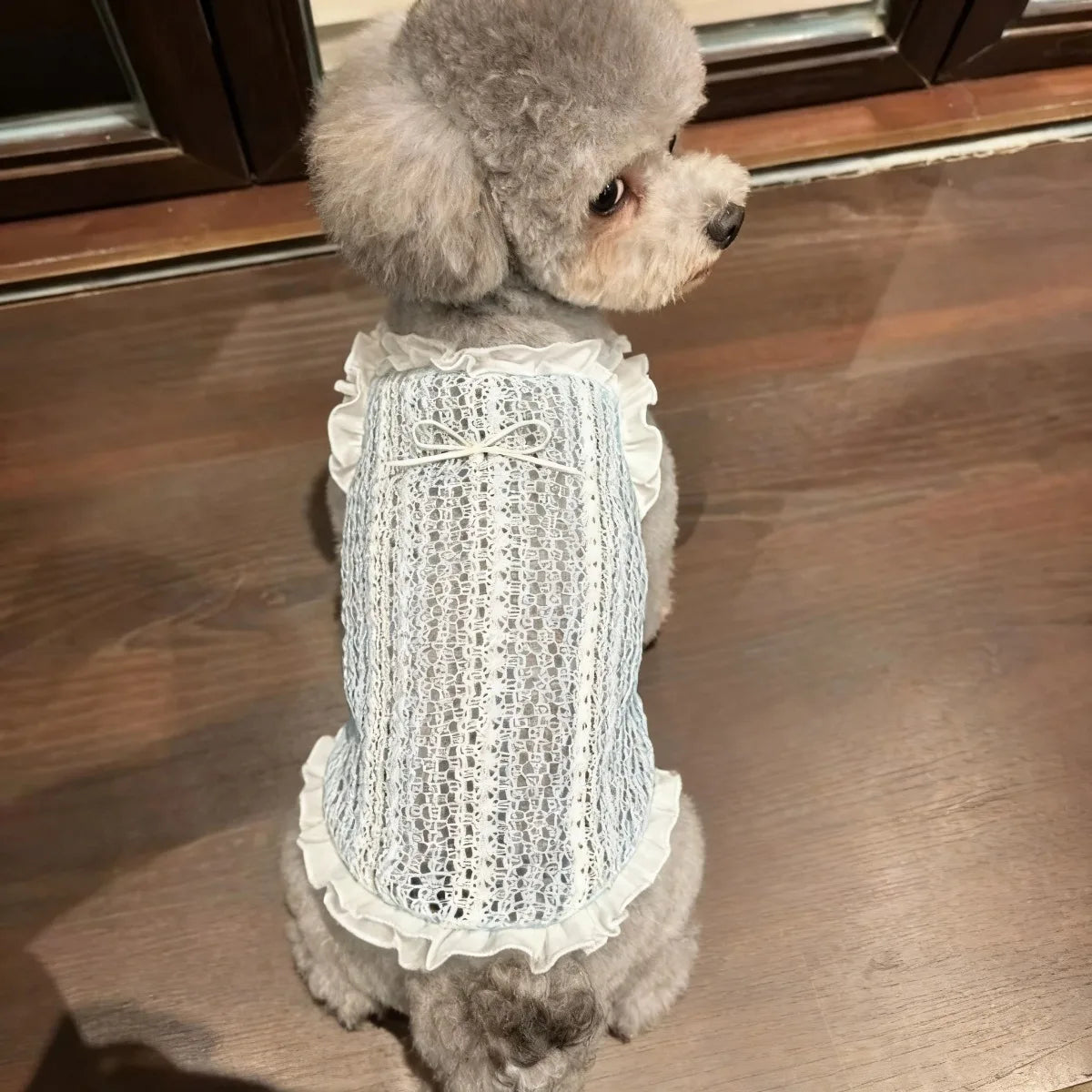 Summer Pet Vest, Small Pet Clothing, Teddy Bear, Pomeranian Dog, Fairy Dress, Pet Cat, Dog CB DROPSHIPPING