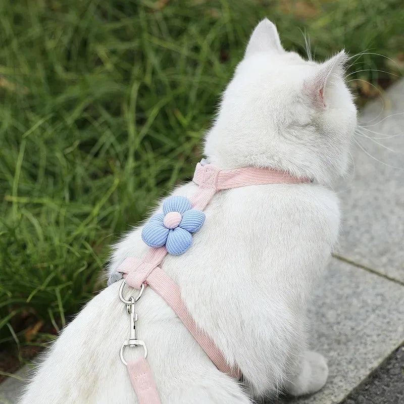 Cat Harness and Leash Sets Adjustable Dog Harness for Small Dog Leash Breashable Pet Harness Out Walking Dog Strap Cat Accessory CB DROPSHIPPING
