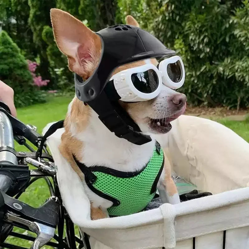 Pet Helmets,Cat Helmet,Dog Helmet-Outdoor Mini Head Protecting Safe Hat Dog Motorcycle Helmet Pet Photo Props Accessorie CB DROPSHIPPING