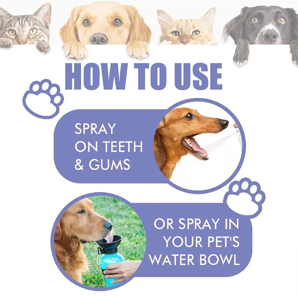 Pet Teeth Clean Supplies Pet Oral Repair Gel Pet Oral Care Spray Bad Breath Remover Teeth Cleaning Freshener Oral Deodorant