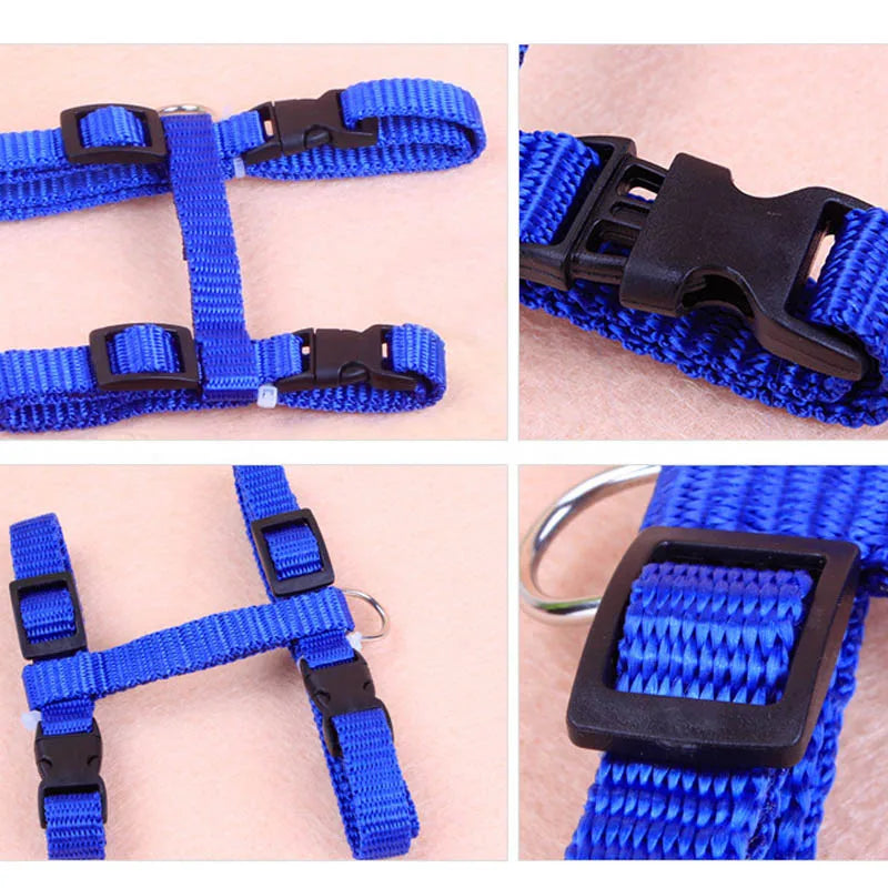 Cat Collar Harness Leash Adjustable Nylon Pet Traction Cat Kitten Dog Halter Collar gato Cats Products Pet Harness Belt CB DROPSHIPPING