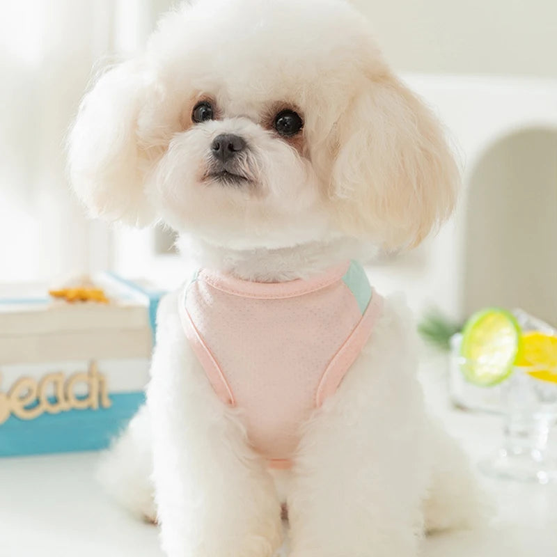 Thin Dog Summer Clothes Mesh Dog Cooling Vest Pet T Shirt Dog Sun Protective Clothing with D-Ring Chihuahua Kitten Puppy Costume