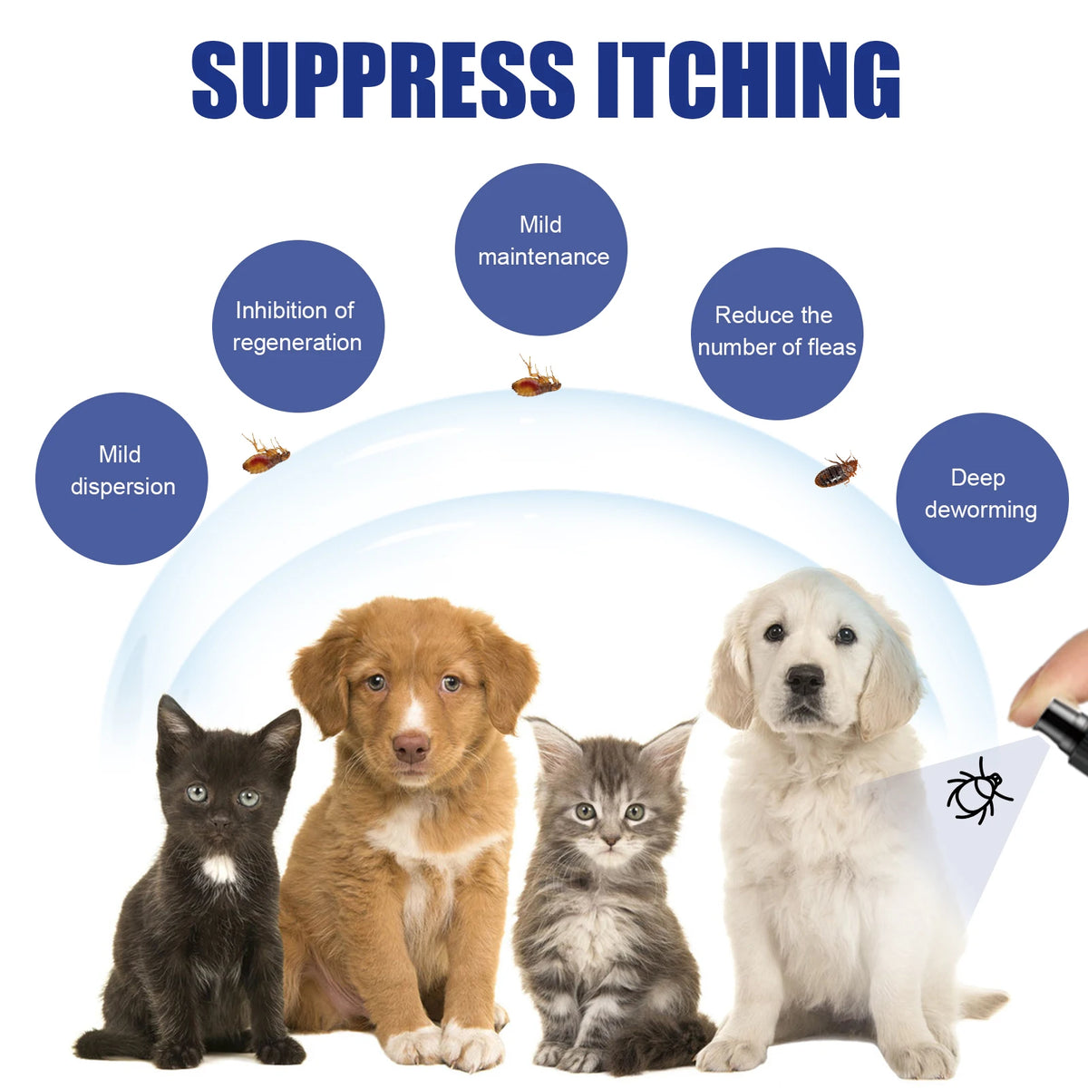 Natural Flea Spray for Dogs and Cats Plant-Based Flea and Tick Repellent Essential Oils Flea Treatment Itch Relief Spray for Pet