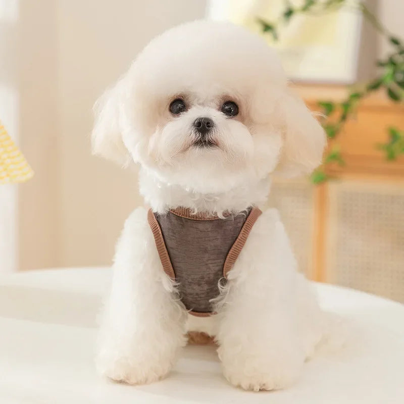 Dog Pet Sleeveless Mesh Bear Traction Vest Cat Breathable Thin Teddy Pet Dog Cooling Vest for Dogs Clothes CB DROPSHIPPING
