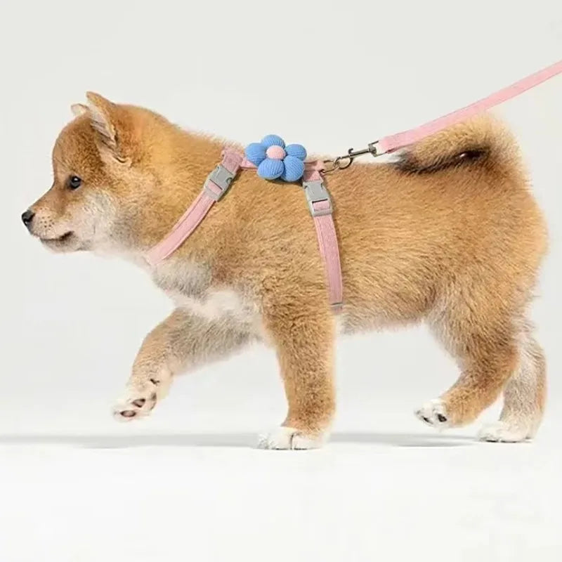 Cat Harness and Leash Sets Adjustable Dog Harness for Small Dog Leash Breashable Pet Harness Out Walking Dog Strap Cat Accessory CB DROPSHIPPING