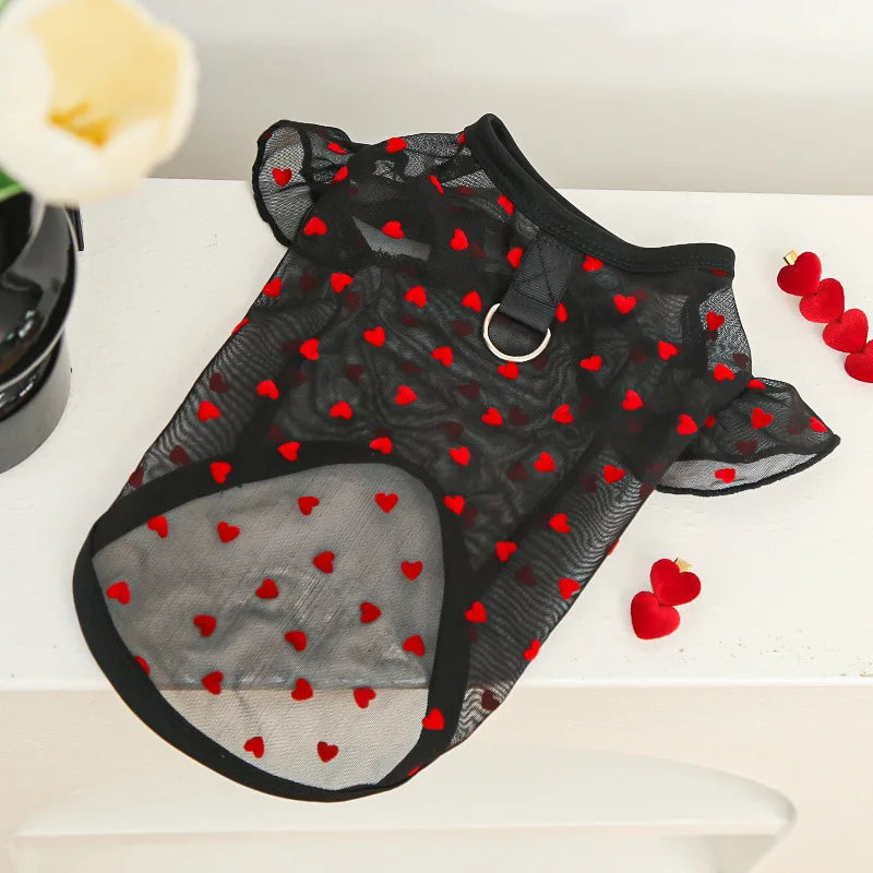 Cute Dog Cooling Vest Solid Breathable Mesh Thin Dog Summer Clothes Chihuahua Bichon Pet Clothing Cat T Shirts Puppy Undershirt