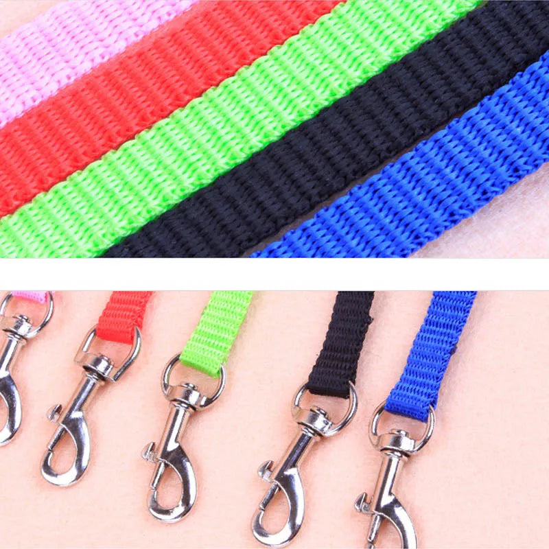 Cat Collar Harness Leash Adjustable Nylon Pet Traction Cat Kitten Dog Halter Collar gato Cats Products Pet Harness Belt CB DROPSHIPPING