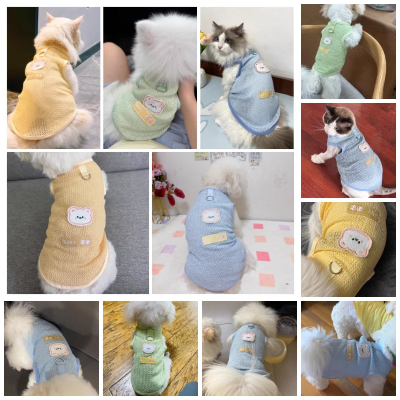 Cute Dog Cooling Vest Solid Breathable Mesh Thin Dog Summer Clothes Chihuahua Bichon Pet Clothing Cat T Shirts Puppy Undershirt