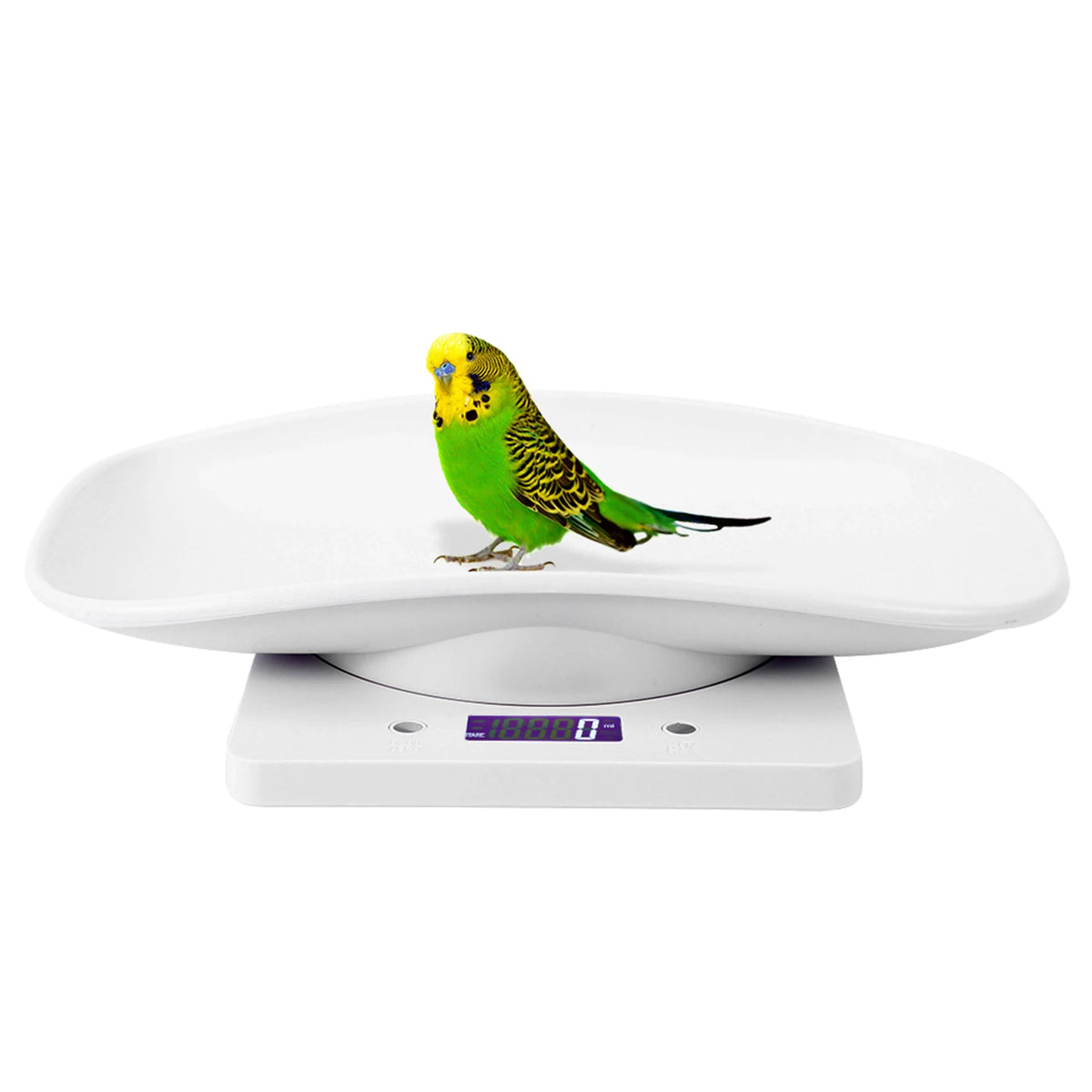 10kg/1g Digital Small Pet Weight Scale for Cats Dogs Measure Tool Electronic Kitchen Scale Pet Scale Kitchen Scale Digital Scale CB DROPSHIPPING
