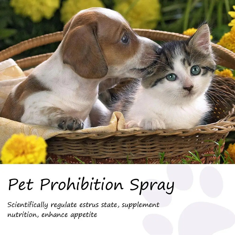 Pet Calming Spray Pet Supplies Pets Pheromone Calming Spray Improve Estrus Agitation Pet Anxiety Relief Spray Cat Dog Health CB DROPSHIPPING